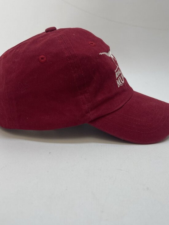 Royal Tyrrell Museum Souvenir Youth Cap Palaeontology Drumheller Alberta Canada - Picture 2 of 6